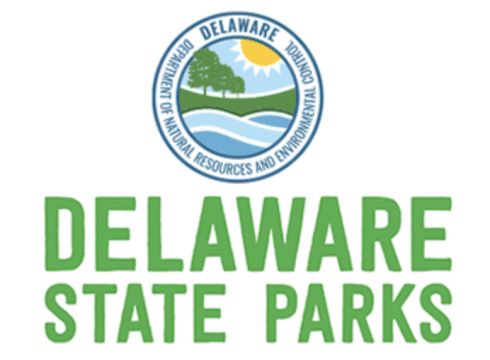 Bird Walk at Cape Henlopen