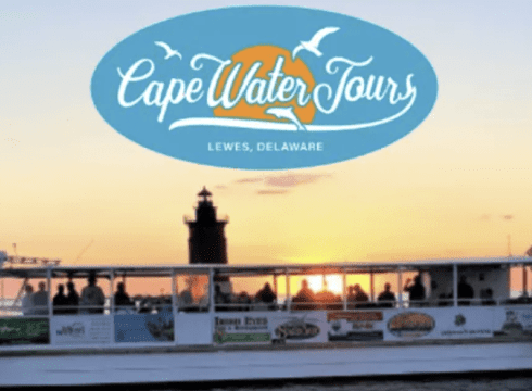 Seal Watching with MERR Institute • Lewes Ferry