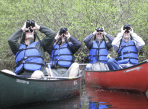 Delmarva Birding Weekend