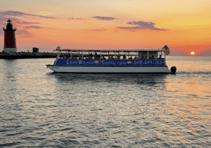 Dolphin Watching • Lewes Ferry