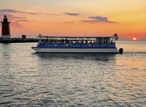 Dolphin Watching • Lewes Ferry