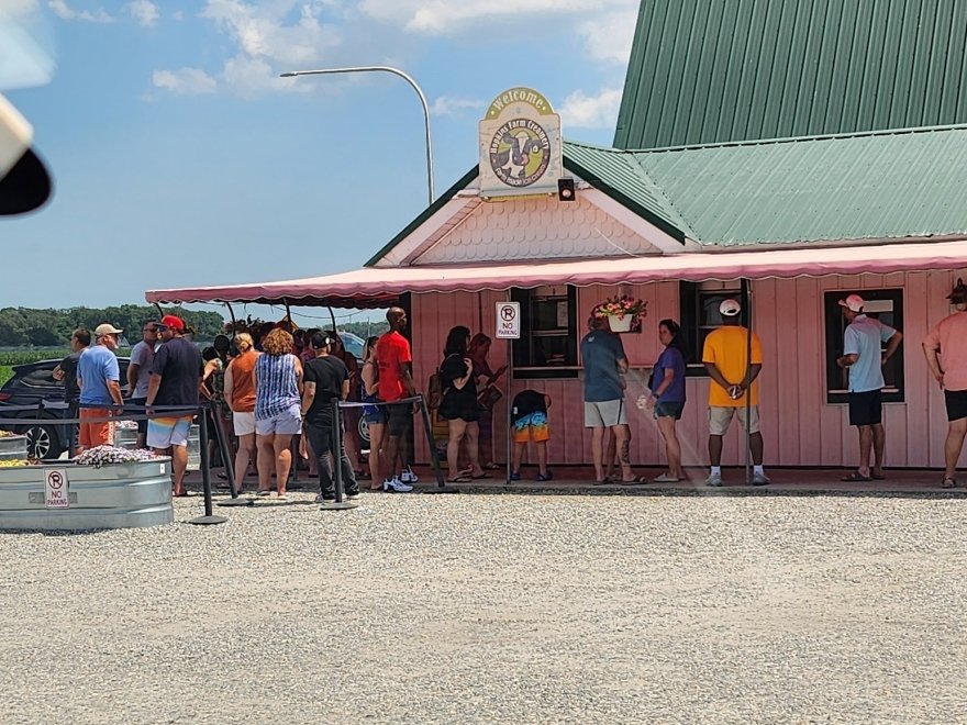 Hopkins Farm Market
