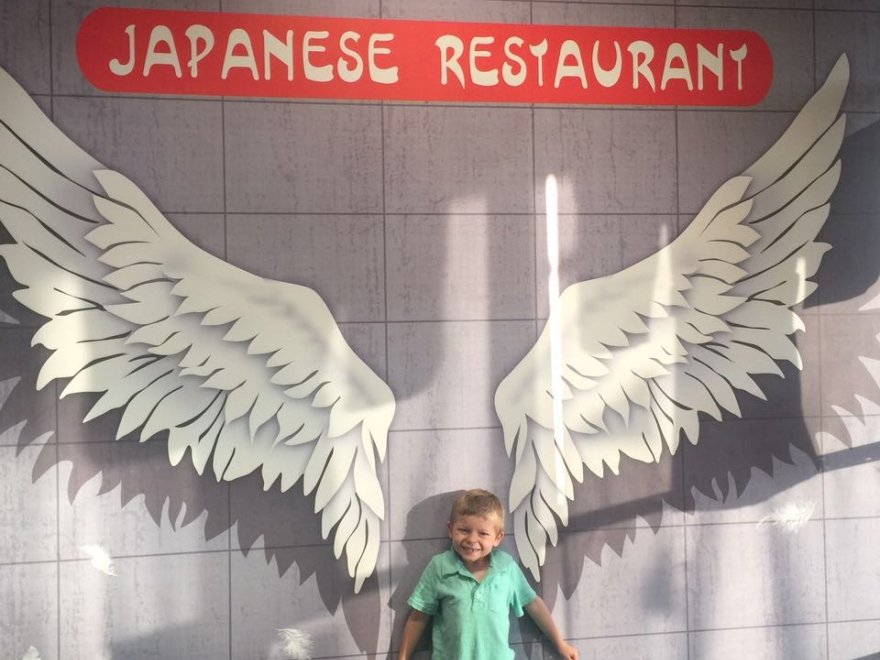 Shogun Japanese Restaurant