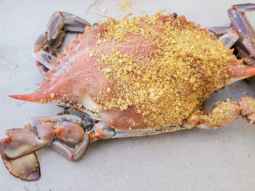 The Surfing Crab Restaurant and Bar