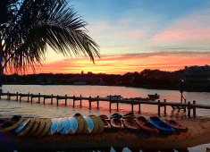 Delmarva Board Sports Waterfront Concession